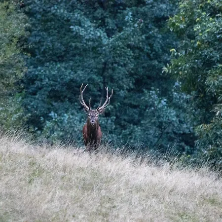 Homestay Le Du Chateau Bagen Sauveterre-de-Comminges